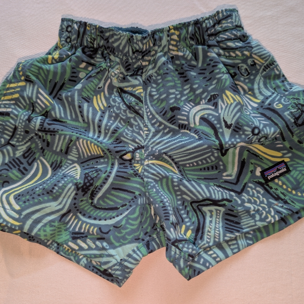 Patagonia Blue and Green Swim Trunks with Quick-Dry Fabric